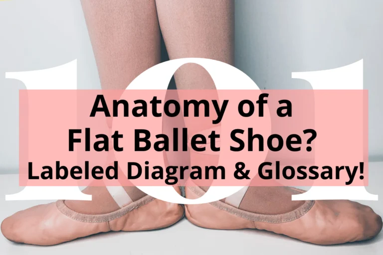 Title Image: Anatomy of a Flat Ballet Shoe? Labeled Diagram & Glossary!