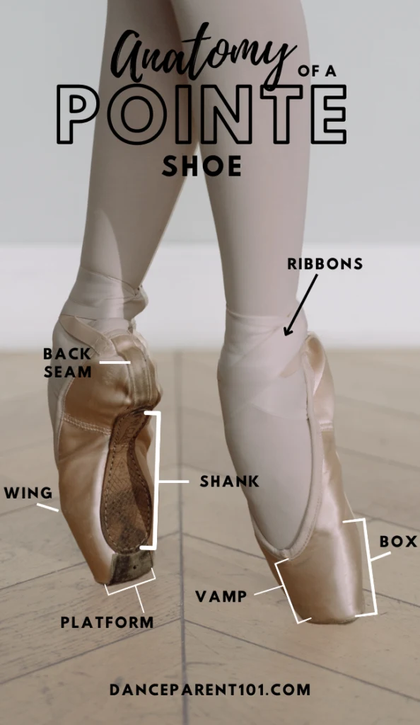 What are Demi Pointe Shoes and do you really need them for Ballet?